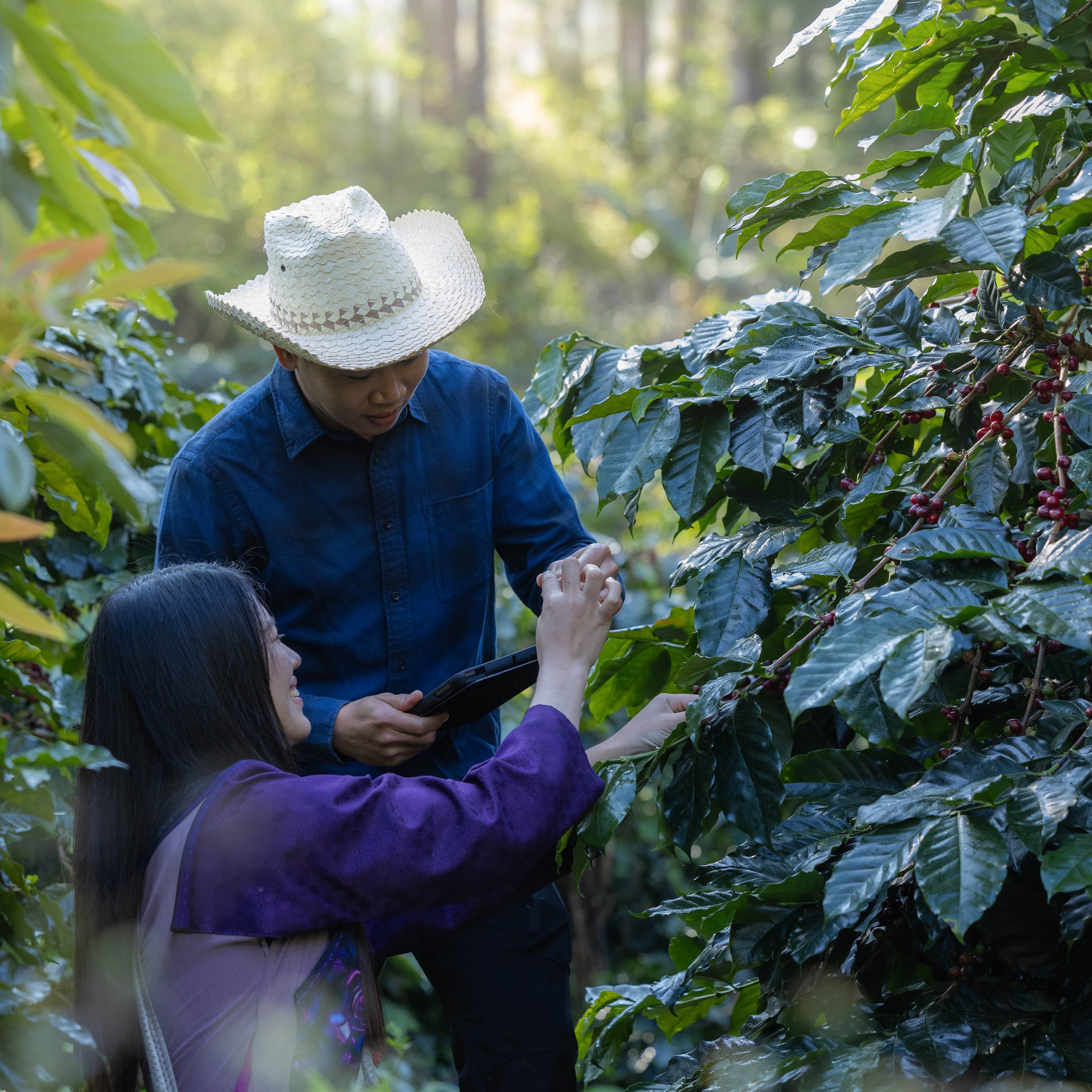 Croazieră de grup în Fiordurile Norvegiei cu MSC Euribia (Copy) (Copy)